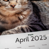 Lodge Cat Calendar 24/25